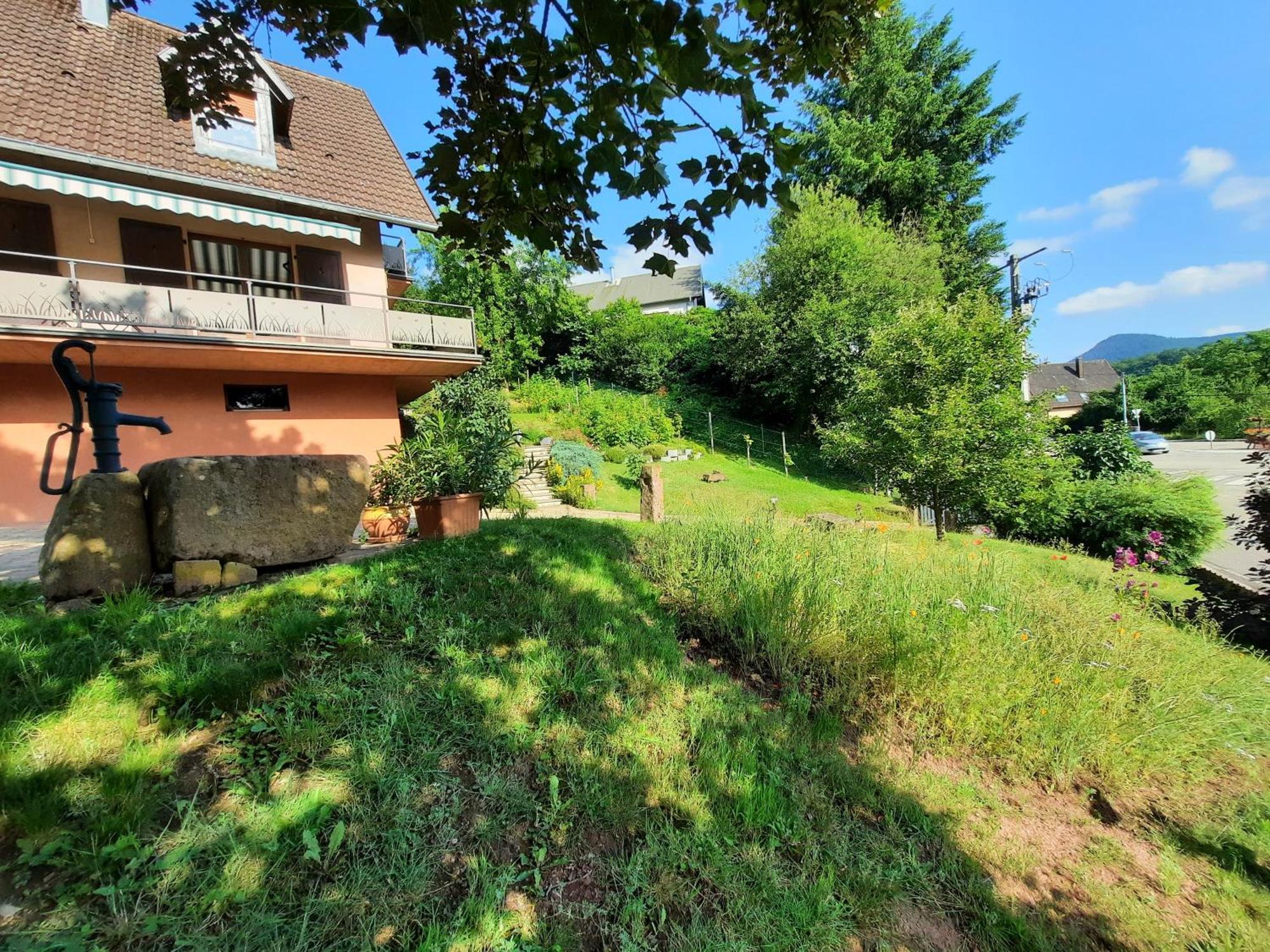 Chambres D'Hotes "Au Val Sejour" Alsace Saint-Martin  Eksteriør bilde