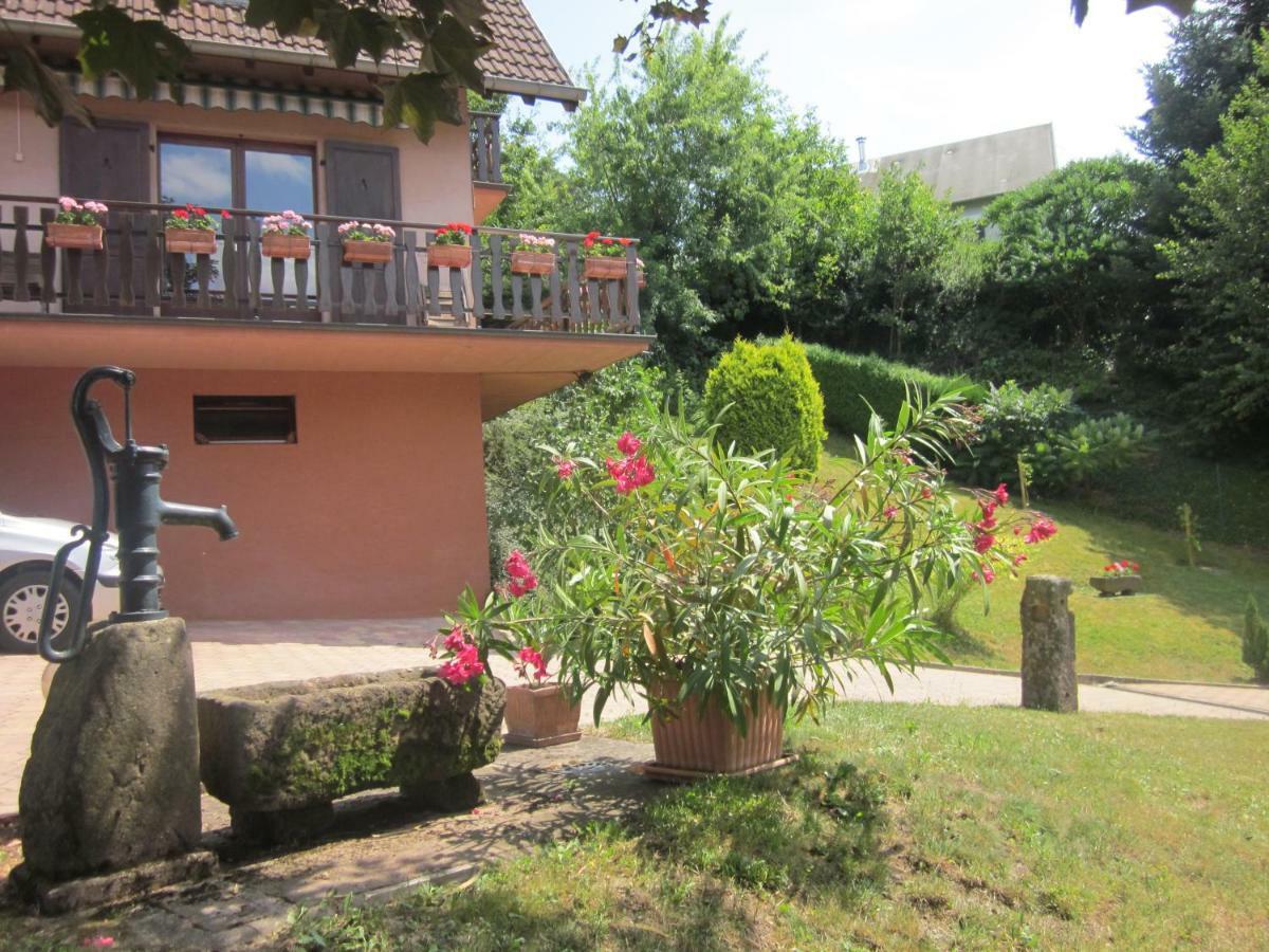 Chambres D'Hotes "Au Val Sejour" Alsace Saint-Martin  Eksteriør bilde