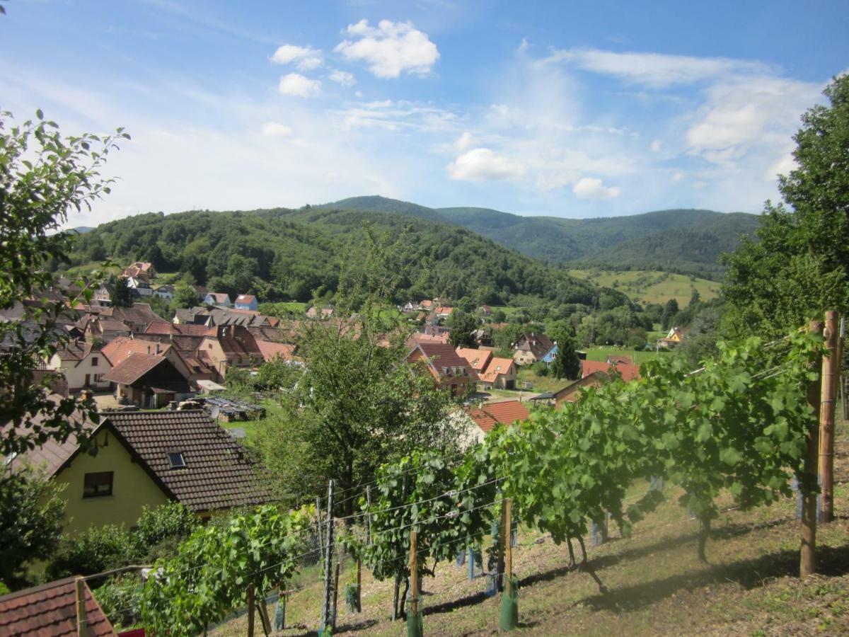 Chambres D'Hotes "Au Val Sejour" Alsace Saint-Martin  Eksteriør bilde